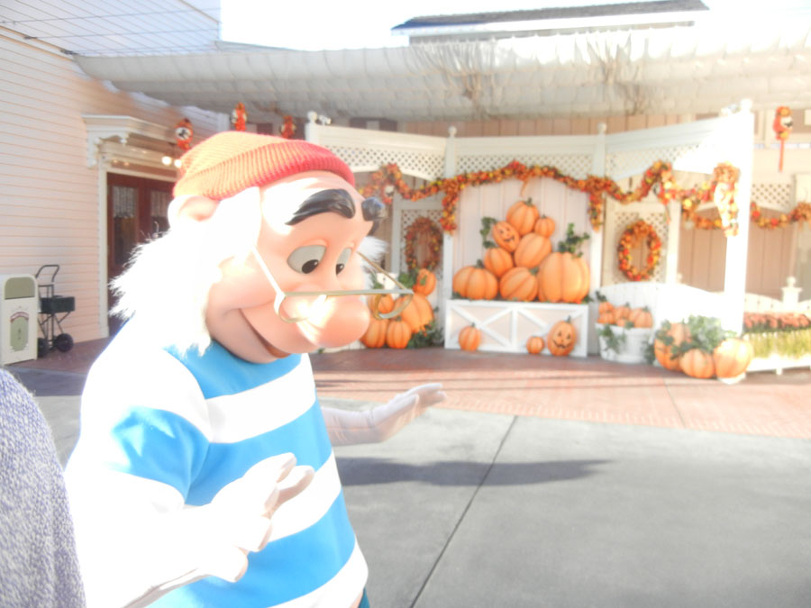 Disneyland Parade in the Day